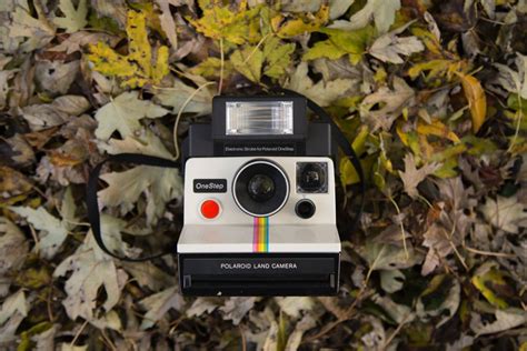 best vintage polaroid|More.